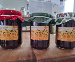 Plum and Ginger Chutney